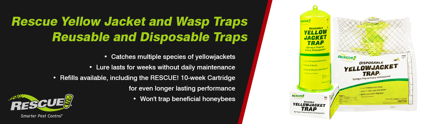Petes-Ace-Hardware-Featured-Product-Yellow-Jacket-Trap